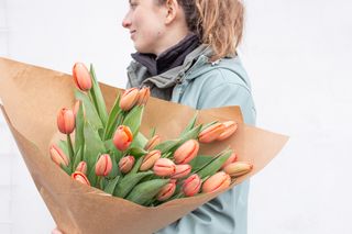 Velký svazek tulipánů, Loukykvět