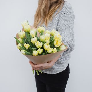 Velký svazek tulipánů Ipon, Loukykvět