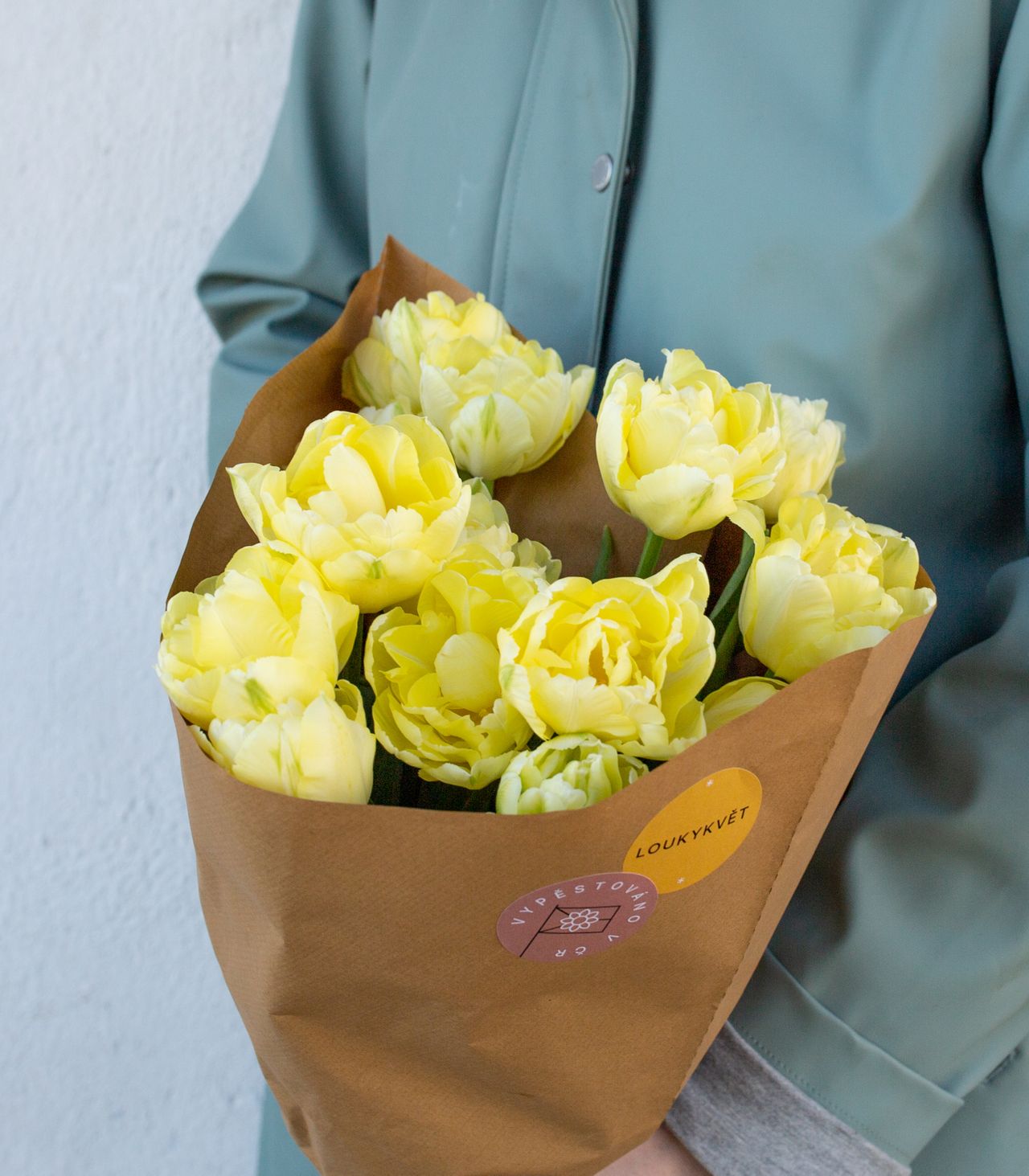 Svazek plnokvětých tulipánů Verona, Loukykvět