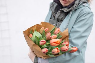 Svazek tulipánů, Loukykvět